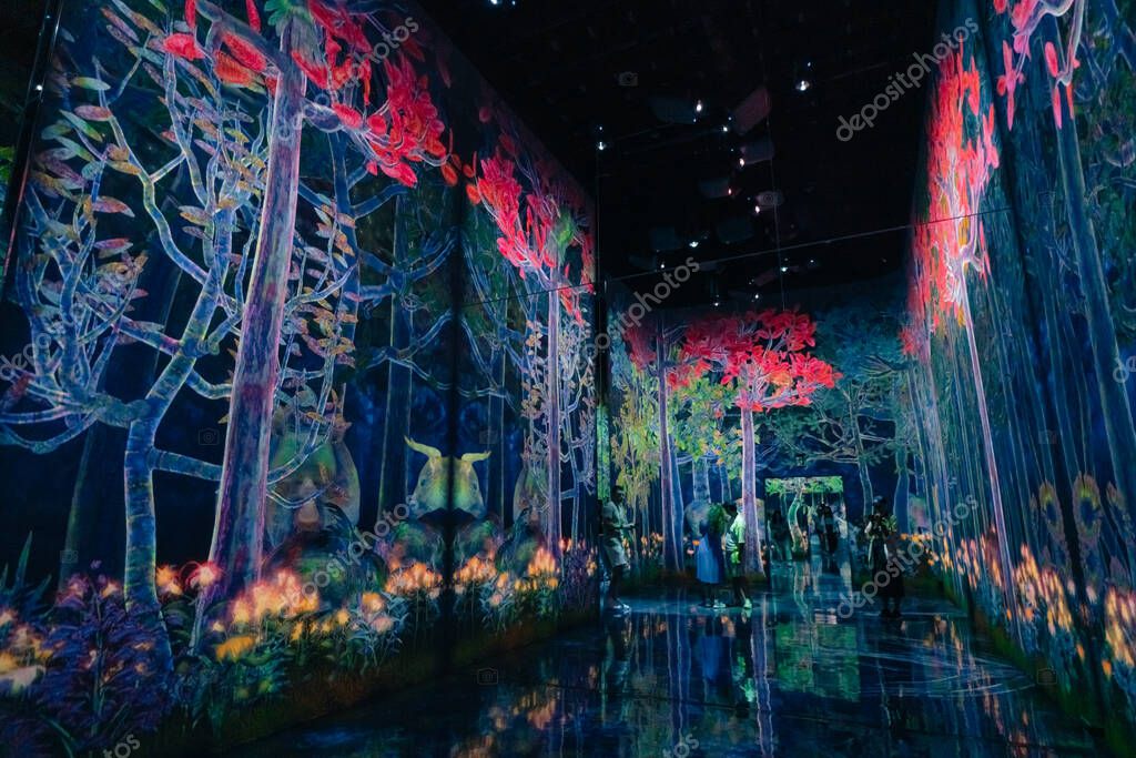 Portrait eines Vorstandsmitglieds des Museumsvereins